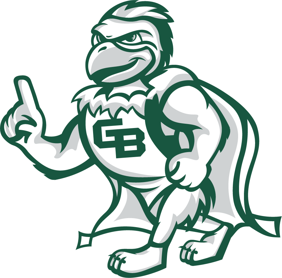 Wisconsin-Green Bay Phoenix 2020-Pres Mascot Logo v3 iron on transfers for T-shirts